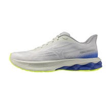 Mizuno WAVE SKYRISE 7 (J1GC260902)