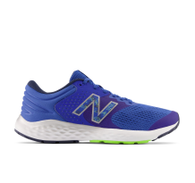 New Balance 520v7 (M520PB7)