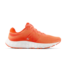 New Balance Womens 520v8 (W520RO8)