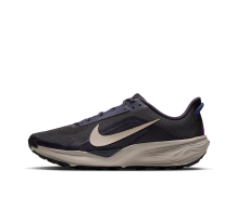 Nike ACG Pegasus Trail (HV8116-007)