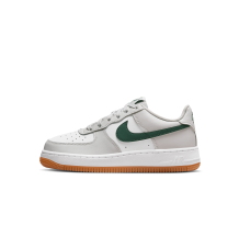 Nike Air Force 1 Low GS (CT3839-007)