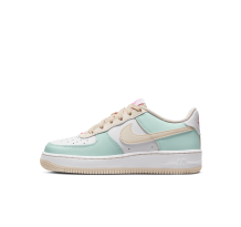 Nike Air Force 1 Low GS (DV7762-300)