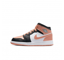 Nike Air Jordan 1 Mid (DM9077-108)