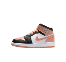 Jordan 1 Mid GS Root (DM9077-108)