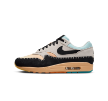 Nike Air Max 1 (FZ3610 072)