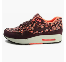 Nike Liberty Air Max 1 (540855-600)