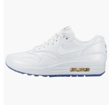 Nike Air Max 1 Premium Ice (454746-106)