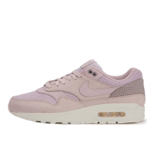 Nike Air Max 1 Pinnacle Lab (859554 600)