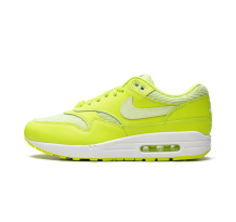 Nike Air Max 1 PRM (FN6832-702)