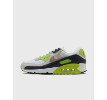 Nike Air Max 90 (DM0029-107)