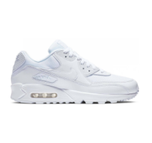 Nike Air Max 90 Essential (537384-111)