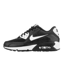 Nike Air Max 90 Essential Wmns (616730-023)
