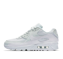 Nike Air Max 90 (325213 419)