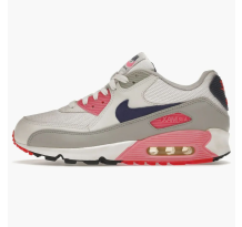 Nike Air Max 90 History Of (313098-141)
