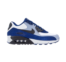 Nike Air Max 90 Blue Void Ashen Slate (302519-400)