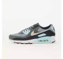 Nike Air Max 90 Light Pumice Photon Dust Smoke Grey (DM0029-009) in grau