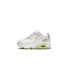 Nike Air Max 90 (DQ0278-100)