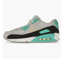 Nike Air Max 90 Neutral Grey Cool Mint (375572-011)