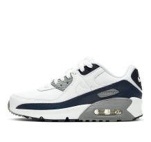 Nike Air Max 90 LTR GS (CD6864-105)