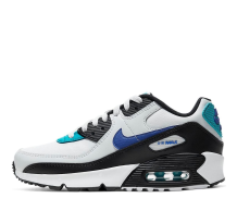 Nike Air Max 90 (CD6864 003)