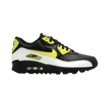 Nike Air Max 90 (313650-071)
