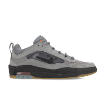 Nike Air Max Ishod ISO Cool Grey (HJ4299-001)