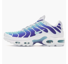 Nike Air Max Plus Bleached Aqua Fierce womens (AQ9979-100)