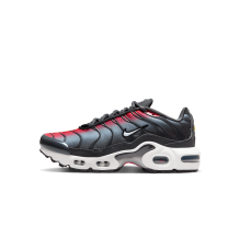 Nike Air Max (CD0609-604)