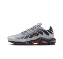 Nike Air Max Plus (DM0032-011) in grau