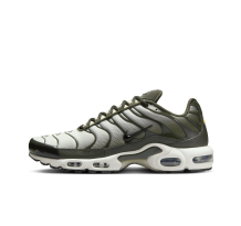 Nike Air Max Plus (DM0032-300)