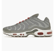Nike Air Max Plus Grey (DD7112-001)
