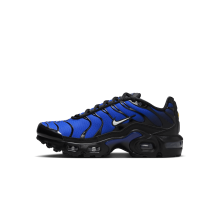 Nike Air Max Plus (HM9616-001) in schwarz