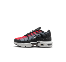 Nike Air Max (FZ0023-604)