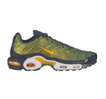 Nike Air Max Plus Liquid Metal Anthracite (AJ2013-005)
