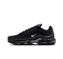 Nike Air Max Plus OG (HV8066-002)