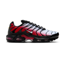 Nike Air Max Plus Pure Platinum University (DM0032-017)