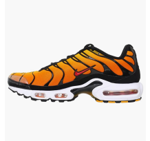 Nike Air Max Plus Sunset (604133-886)