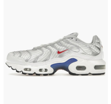 Nike Air Max Plus University gs (CZ5585-100)