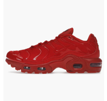 Nike Air Max Plus University GS (DM8877 600)