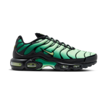Nike Air Max Plus (DM0032 301)