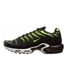 Nike Air Max Plus (852630-036)