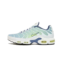 Nike Air Max Plus Wave Grid (HV6227-001)