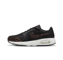 Nike Air Max SC (DO2785-010)