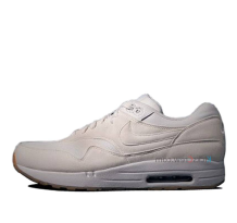 Nike Air Maxim 1 Apc Sp Summit Smt (607541-110)