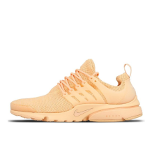 Nike Air Presto Ultra BR Arctic (898020-800)
