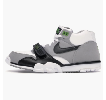Nike Air Trainer 1 Mid Chlorophyll 2008 (317553-101)