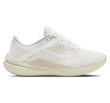 Nike Air Winflo 10 (FQ6872 011)