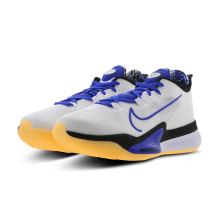Nike Air Zoom BB NXT Sisterhood (DB9990-100)