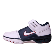 Nike Air Zoom Generation Low (308573 113)