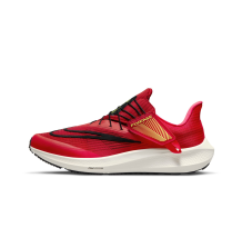 Nike Air Zoom Pegasus 39 FlyEase (DJ7381-600)
